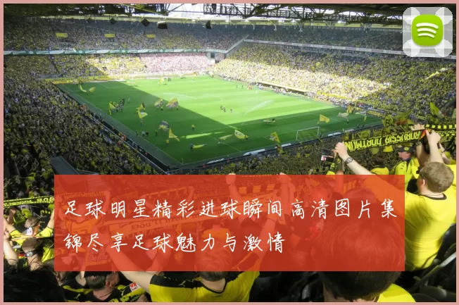 足球明星精彩进球瞬间高清图片集锦尽享足球魅力与激情