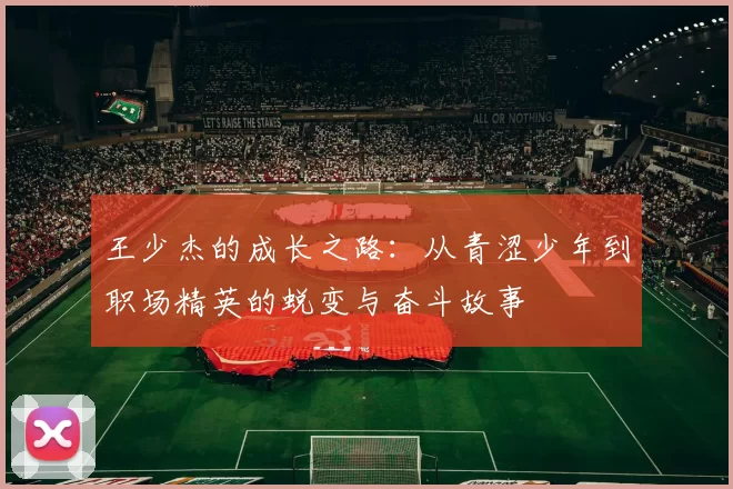 王少杰的成长之路：从青涩少年到职场精英的蜕变与奋斗故事
