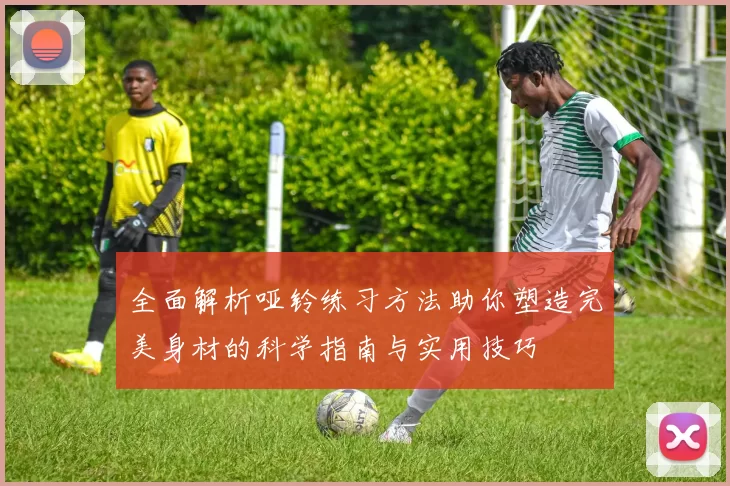 全面解析哑铃练习方法助你塑造完美身材的科学指南与实用技巧