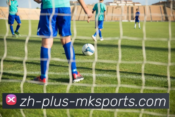 MK体育平台生态图